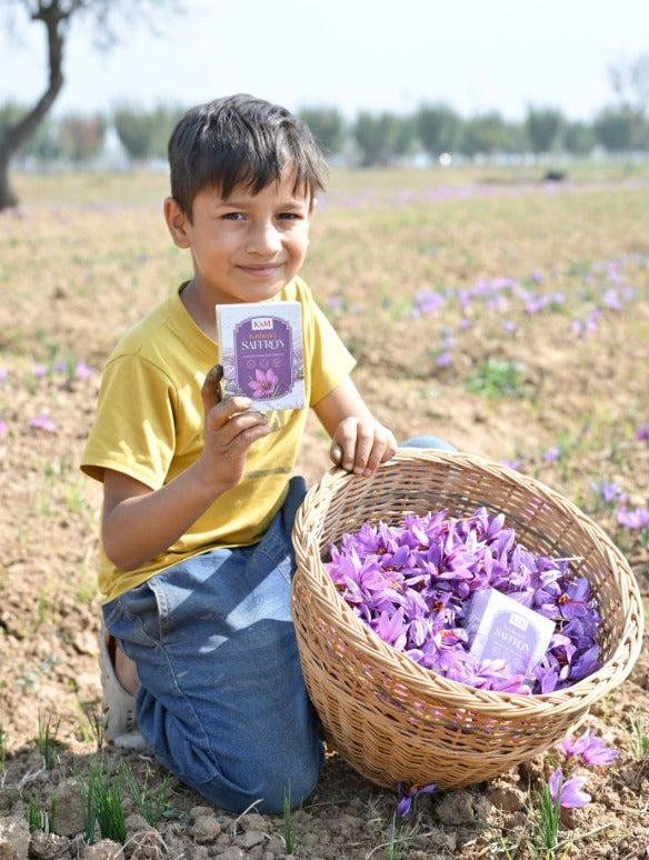 Pampore's Purple Gold: The Story of Kashmiri Saffron
