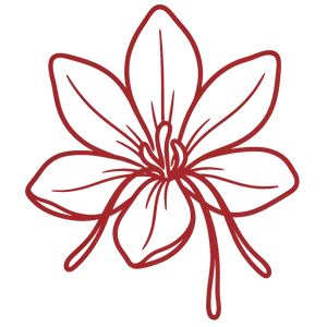 Kanz & Muhul Specials