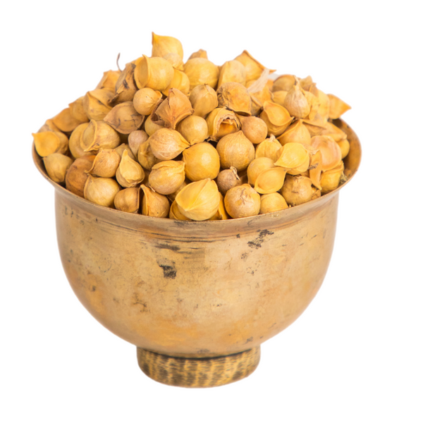 Kashmiri Mountain Garlic