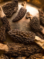 K&M Season's Himalayan Morels - Gucchi Mushrooms