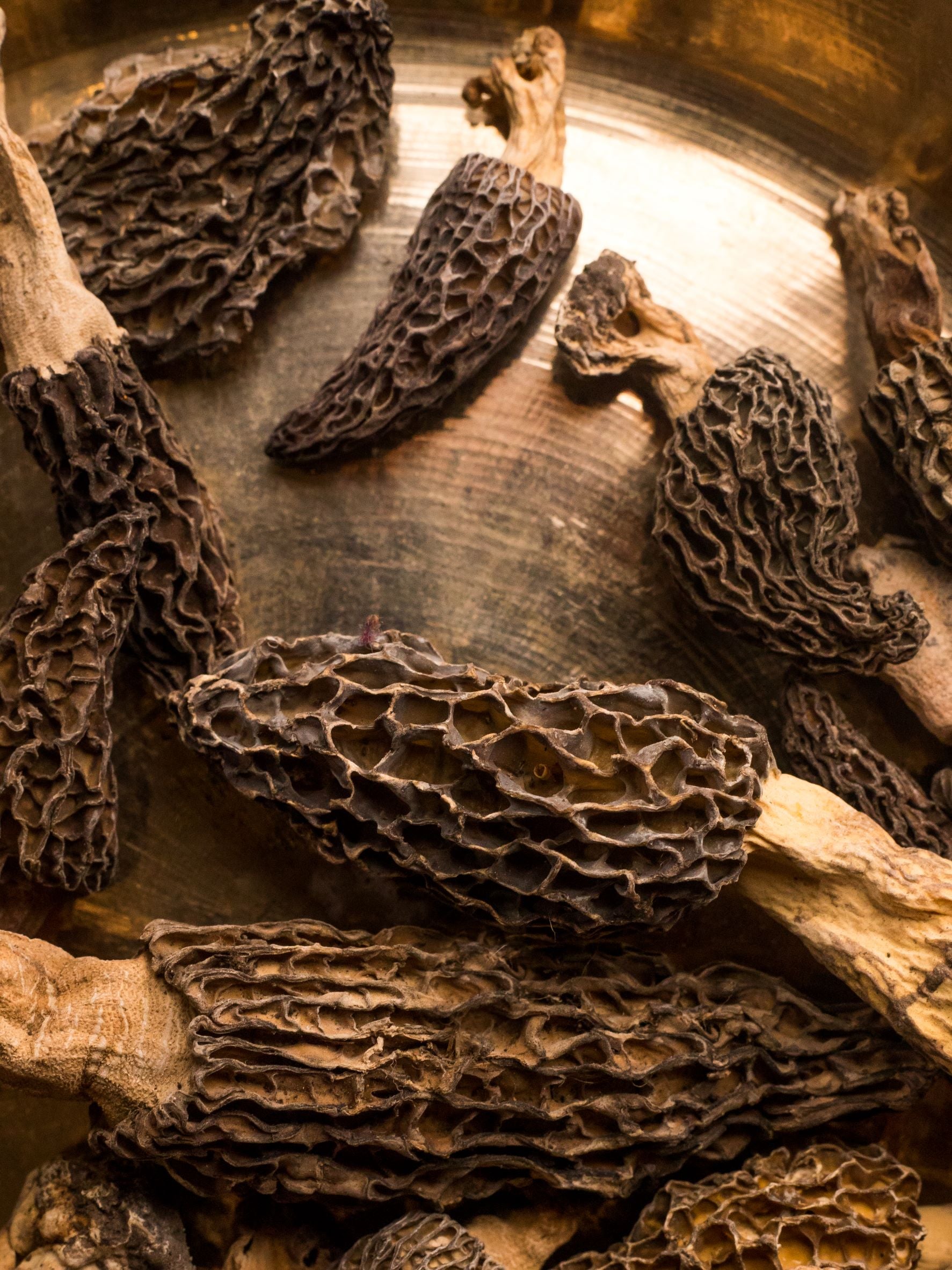 K&M Season's Himalayan Morels - Gucchi Mushrooms