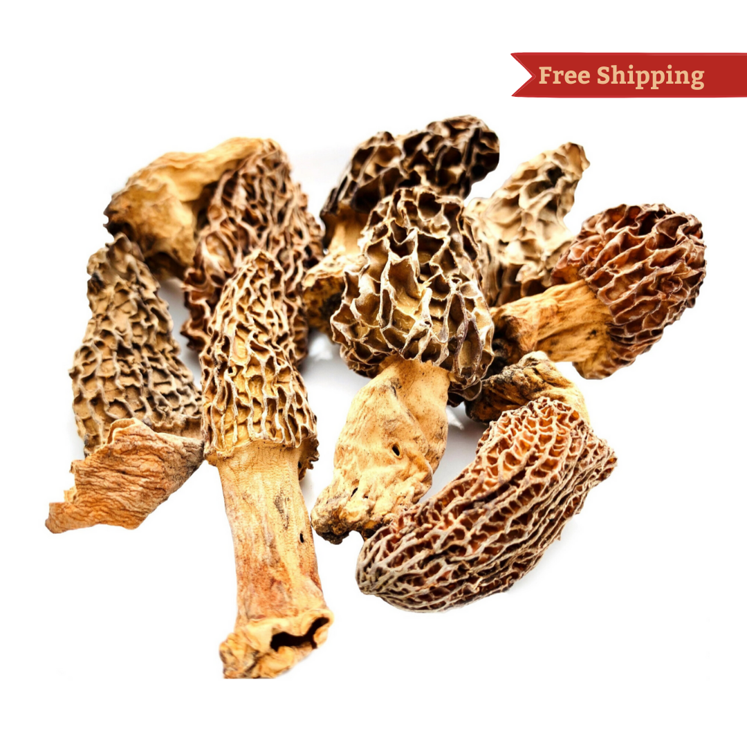 K&M Season's Himalayan Morels - Gucchi Mushrooms