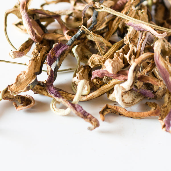 Sun-dried Aubergine (Wangan Hatche) - Kanz & Muhul 