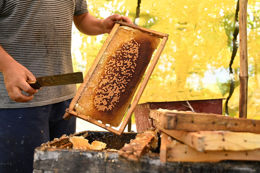 Multi-Flower Kashmiri Honey