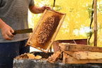 Multi-Flower Kashmiri Honey