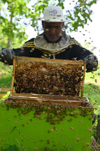Multi-Flower Kashmiri Honey