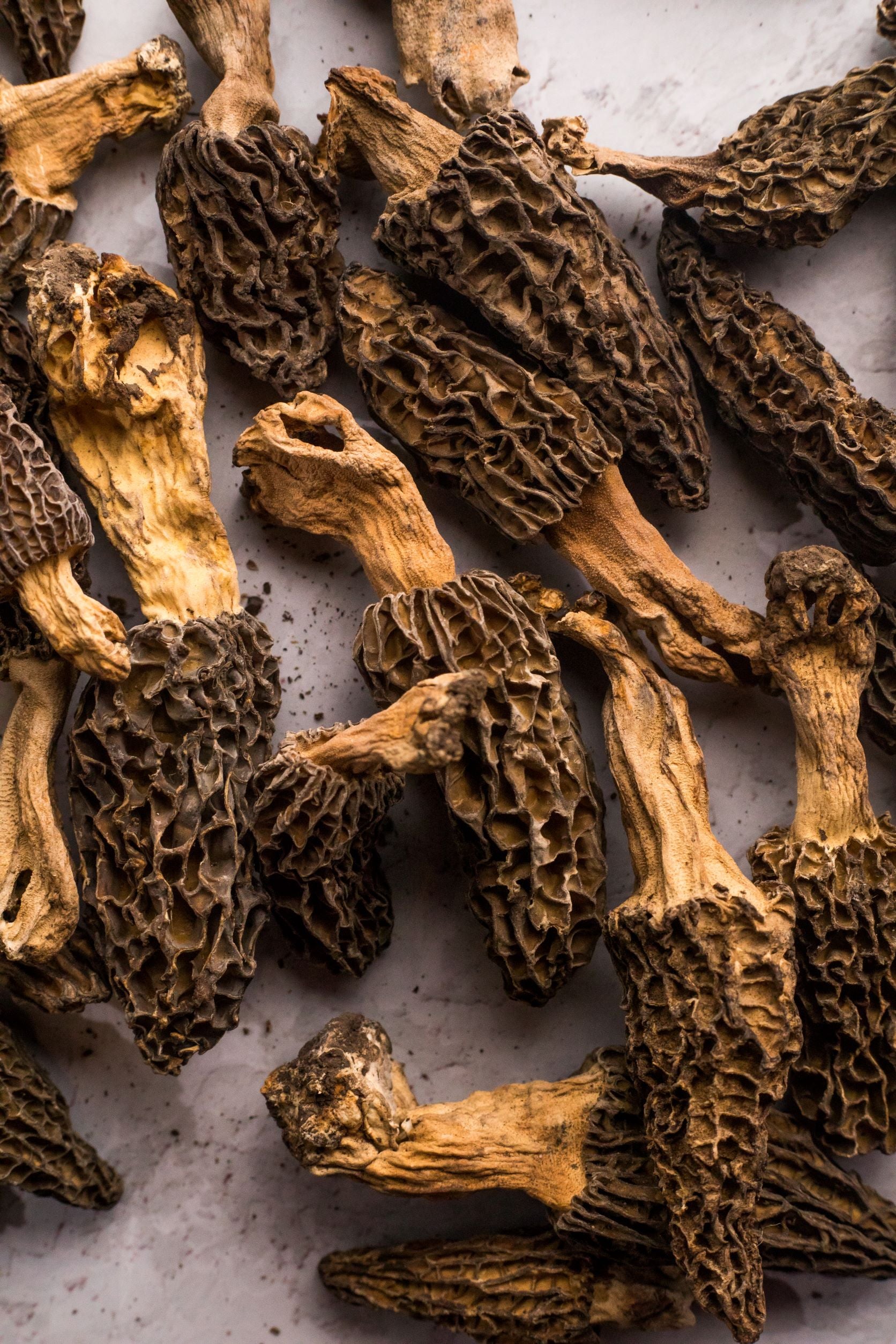 K&M Season's Himalayan Morels - Gucchi Mushrooms